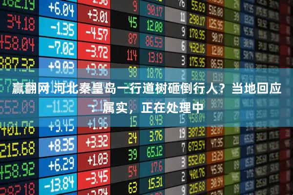赢翻网 河北秦皇岛一行道树砸倒行人？当地回应：属实，正在处理中