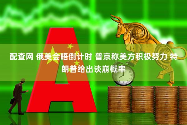 配查网 俄美会晤倒计时 普京称美方积极努力 特朗普给出谈崩概率