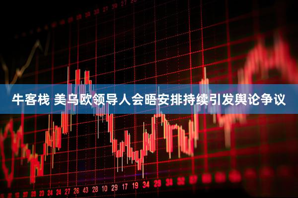 牛客栈 美乌欧领导人会晤安排持续引发舆论争议